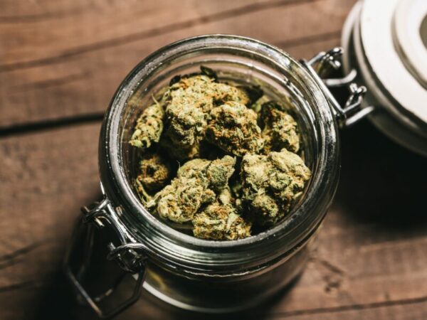 Cannabisblüten in einem Glas- Cannabisarzneien