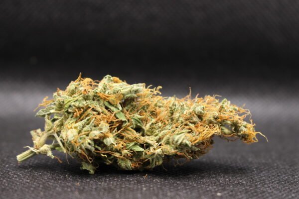 Auto Mazar Buds