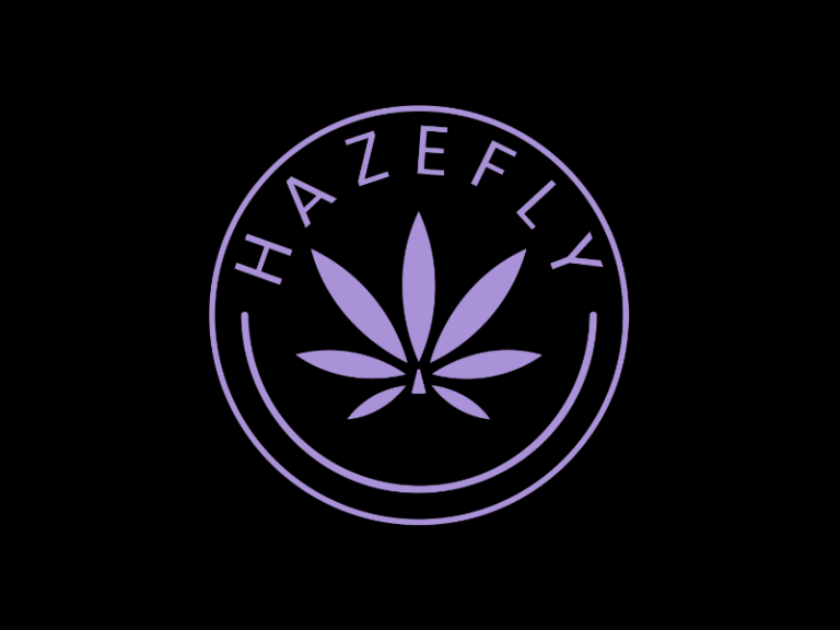 Hazefly: ein Gespräch über Innovation und Aktivismus