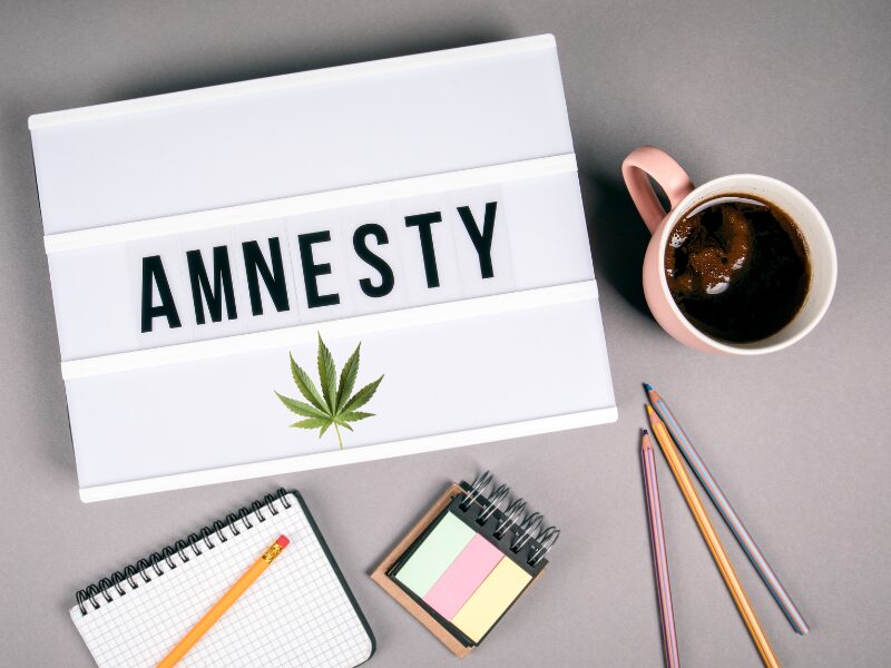 Amnestieregelungen für das neue Cannabigesetz in Deutschland