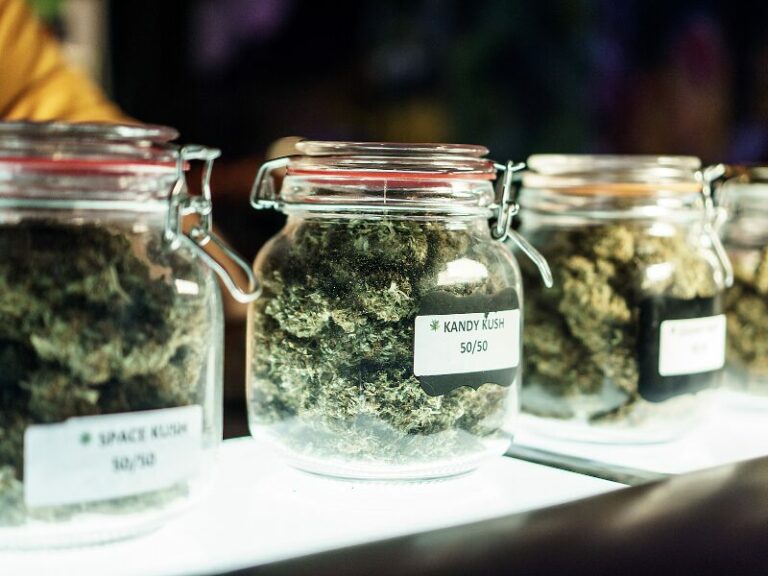 Säule 2 - die Planung der Legalisierung geht weiter