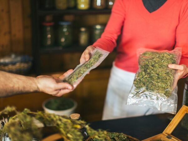 Cannabis legal kaufen - wann und wo ist das möglich?