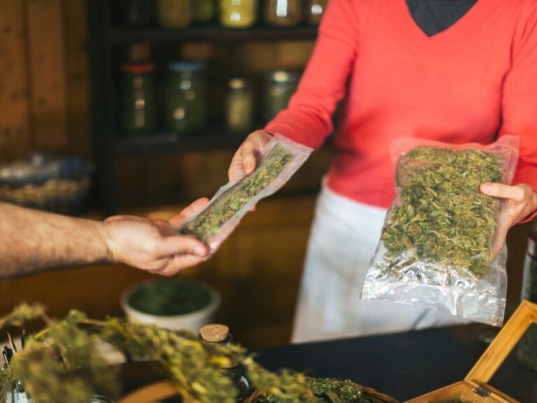 Cannabis legal kaufen - Möglichkeiten und Grenzen!