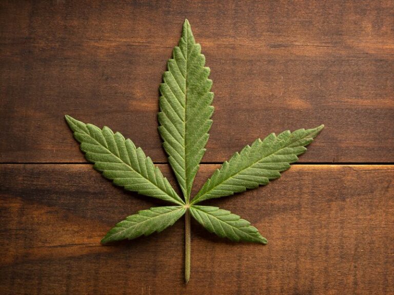 Geplante Änderungen am Cannabisgesetz stoßen auf Kritik