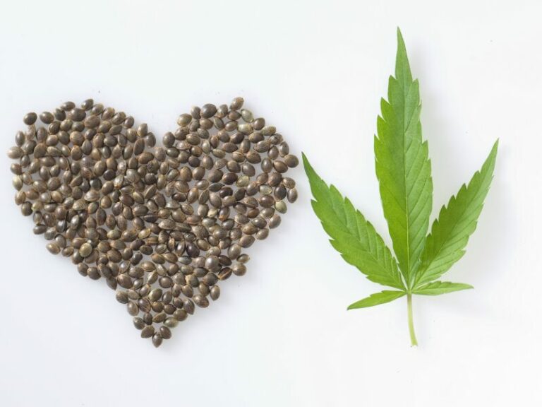 Cannabis und Diskriminierung: mehr Gerechtigkeit, bitte!