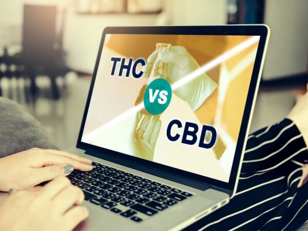eine Frau nutzt einen Laptop über Informationen über Cannabis zu lesen oder zu erstellen. 
