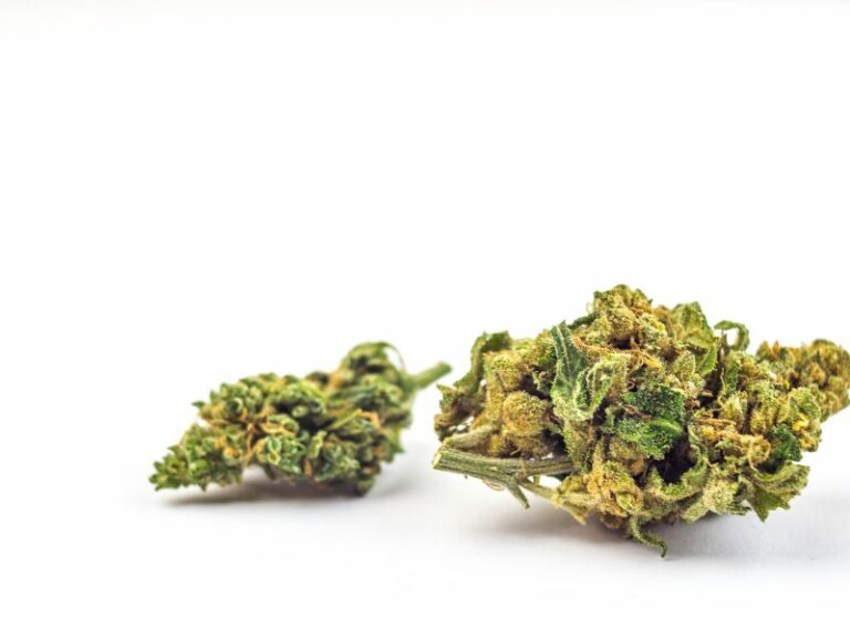 Cannabis in Schulen - erlaubt, aber nicht erwünscht