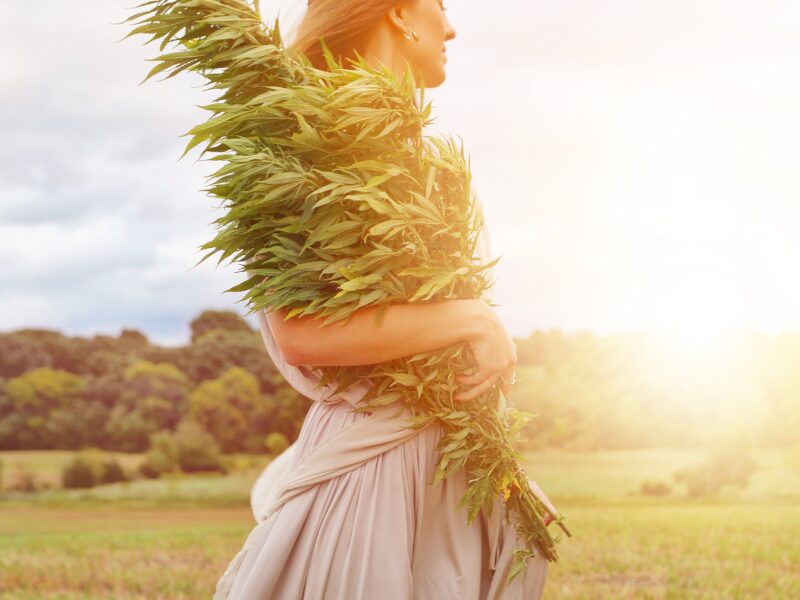 Eine Frau hält eine Cannabispflanze wie ein Kind. Cannabis und Kinder ist ein schwieriges Thema