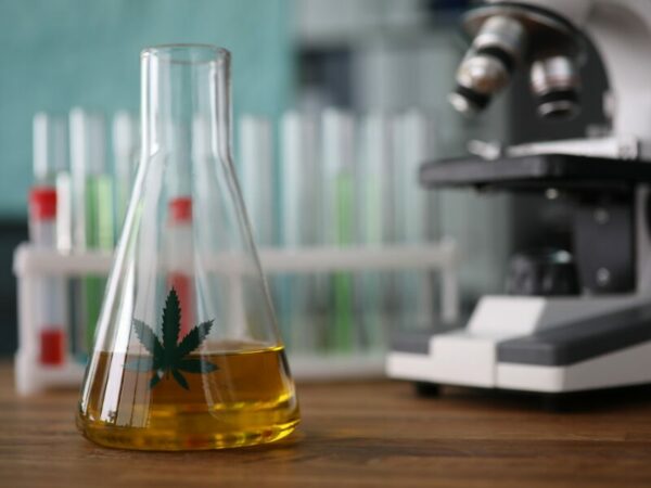 eine gelbe Flüssigkeit in einem Reagenzglas mit einem Cannabisblatt- synthetische Cannabinoide werden im Labor hergestellt