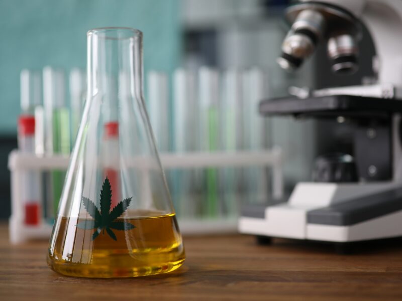 eine gelbe Flüssigkeit in einem Reagenzglas mit einem Cannabisblatt- synthetische Cannabinoide werden im Labor hergestellt