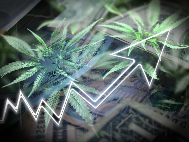 Cannabis Investitionen können sich lohnen- der Umsatz steigt bei Synbiotic SE