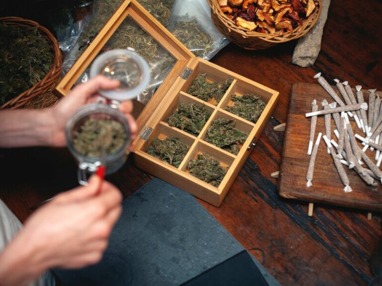 Säule 2: Die Illusion der legalen Cannabis Marktes