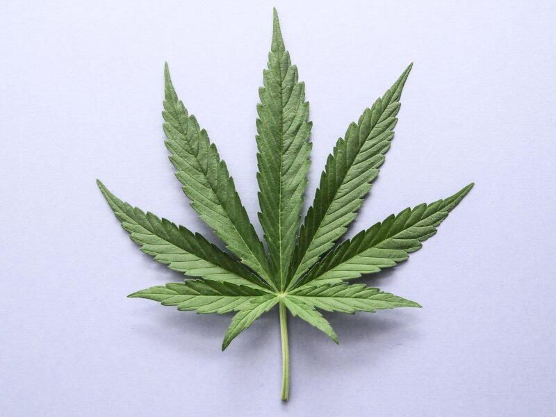 Ein Cannabisblatt