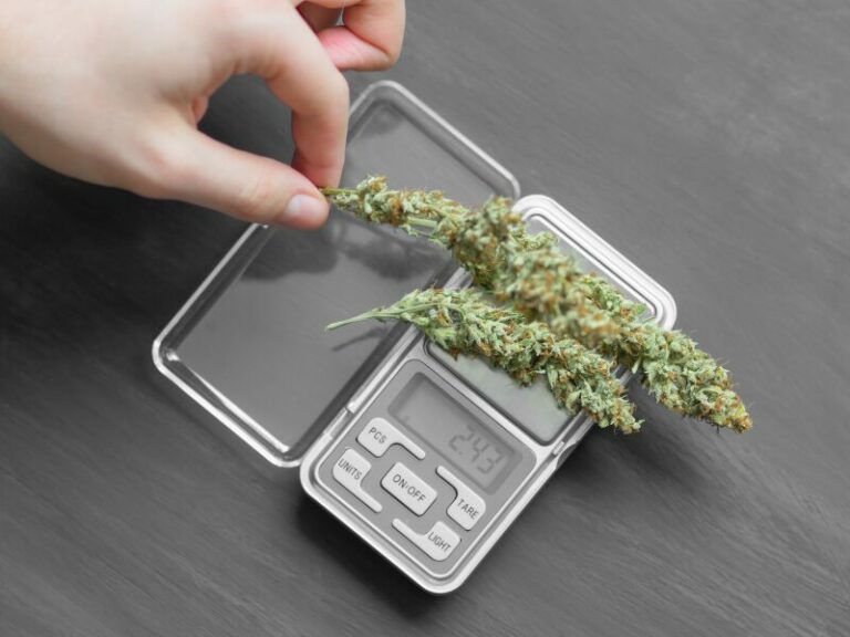 Cannabis-Schwarzmarkt– Studie zeigt massive Verunreinigungen