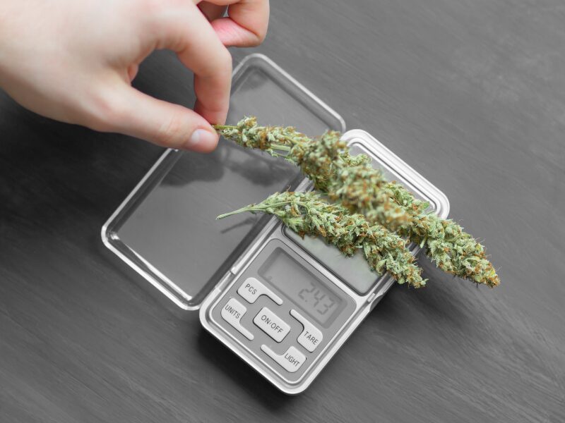 Cannabis-Schwarzmarkt. Cannabis wird abgewogen