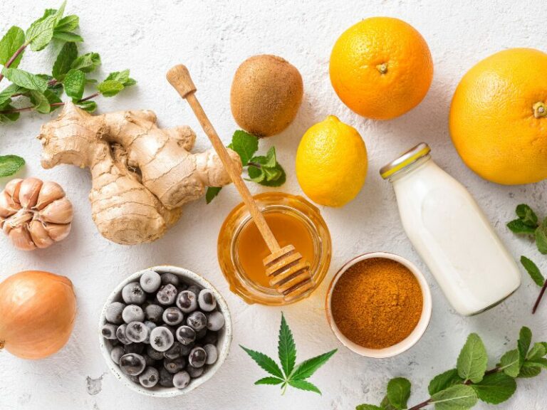 Cannabis und das Immunsystem: Wie wirkt es auf unsere Abwehrkräfte?
