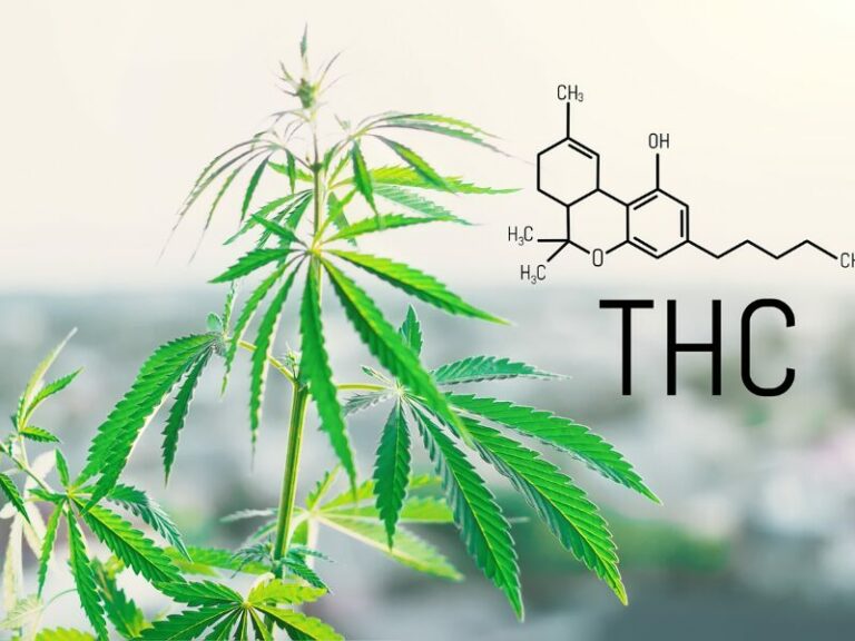 THC - Tetrahydrocannabinol