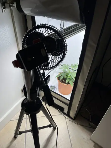 Ventilator vor der Mini-Growbox aufgebaut