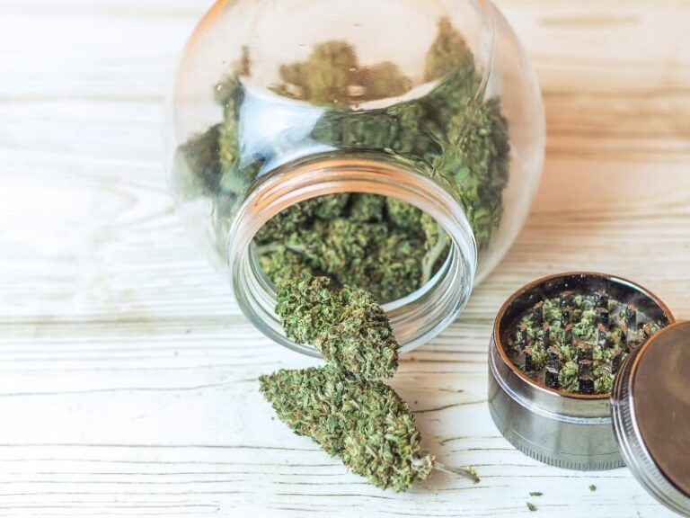 Anbauverein in Bayern: Wie GrowLab ihren Traum verwirklichen