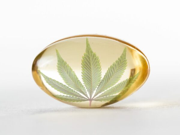 CBD effektiv nutzen. Hier ist eine Kapsel mit einem Hanfblatt zu sehen.