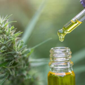 CBN als Cannabinoid - man sieht eine Cannabisblüte und Öl.