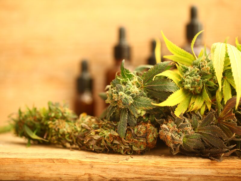 Cannabis Modellregionen in Deutschland. Welche wird es zukünftig geben?