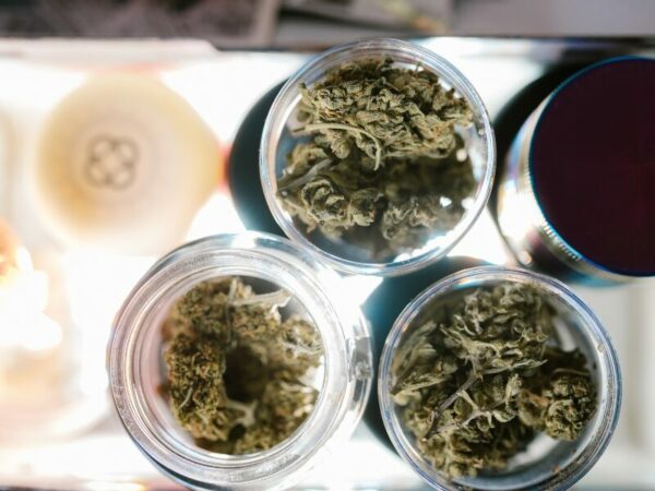 3 Cannabissorten in s kleinen Gefäßen
