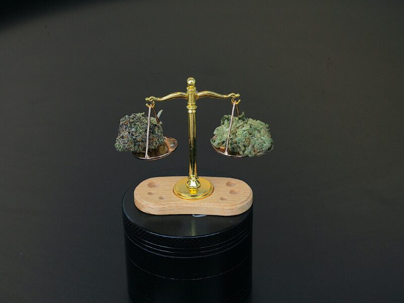 Legalisierung in der Schweiz- wird sie bald kommen? Eine Wage mit zwei kleinen Cannabis Buds