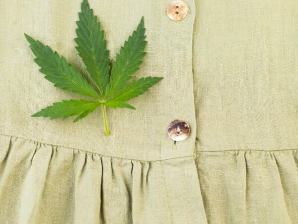 Kleidung kann aus Hanf hergestellt werden. Ein Cannabisblatt auf einem Oberteil. 
