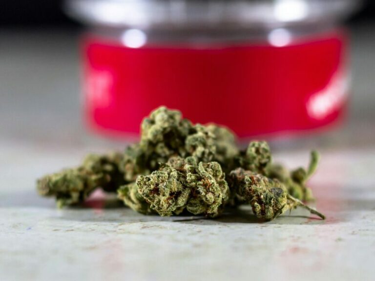 Legalisierung von Cannabis: Rücknahme könnte teuer werden