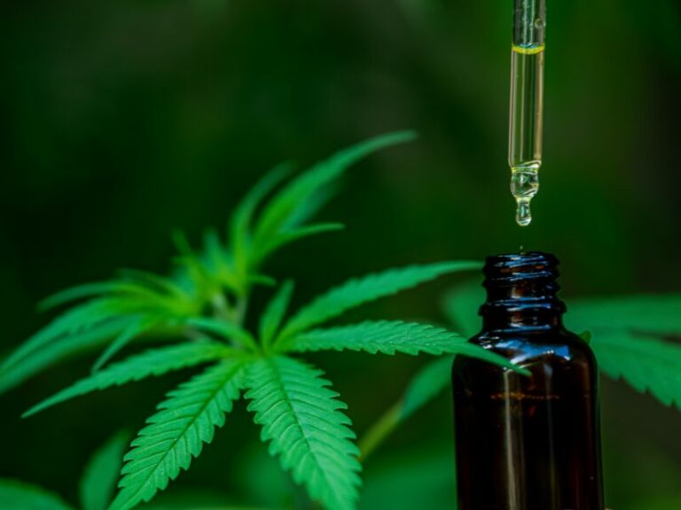 1. Cannabis-Schmerzmittel: bald in Apotheken erhältlich?