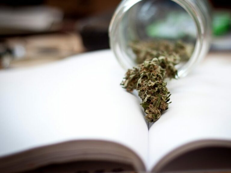 Sondierungsgespräche – Cannabisgesetz kein Thema