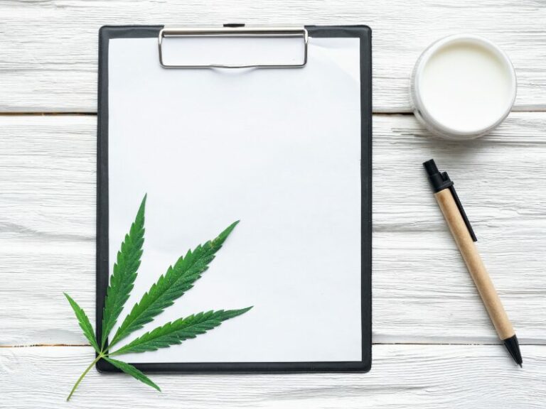 Offener Brief: Experten fordern faktenbasierte Cannabispolitik