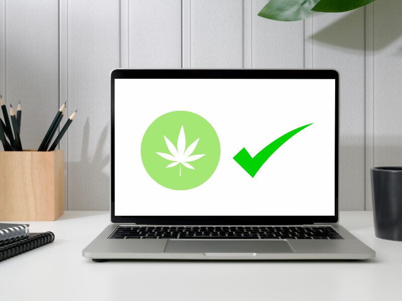 pro Legalisierung - 55 % sprechen sich für das CanG. aus.