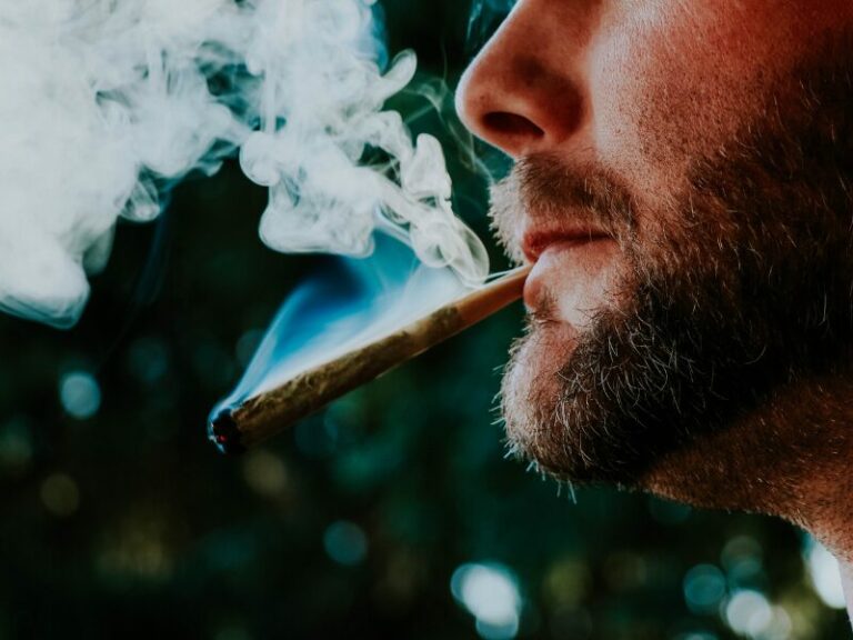 Cannabis und Psychosen: Studie aus Kanada zeigt keinen Anstieg