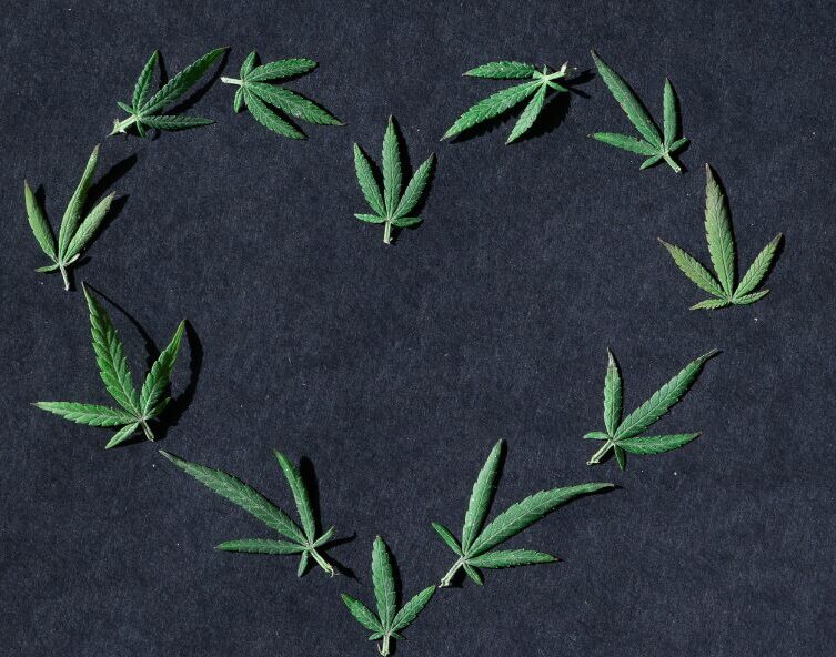 Ein Herz aus Cannabisblätter. Die Koalitionsverhandlungen sind abgschlossen, das Gesetz bleibt bestehen.