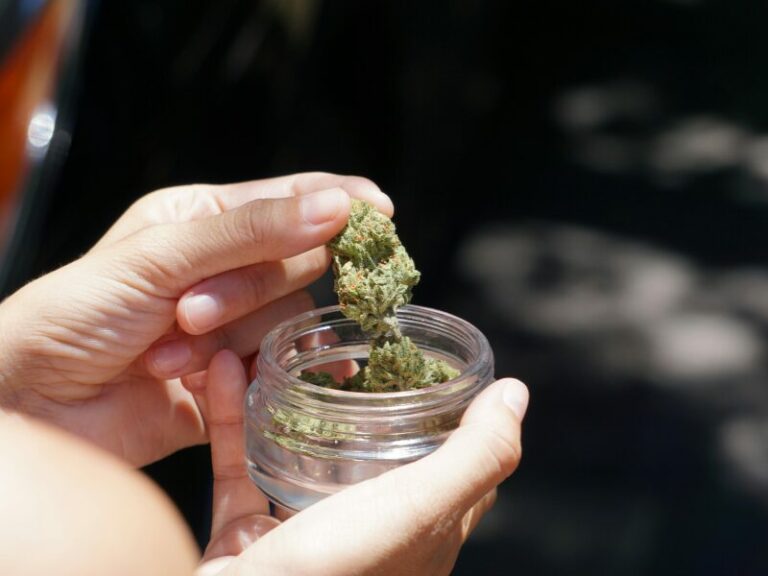 Cannabis Modellprojekt in Leipzig: legale Abgabe statt Verbotspolitik