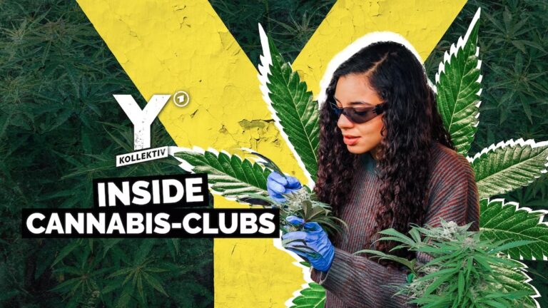 Cannabis Legalisierung Deutschland: Einblicke aus der Reportage im Y-Kollektiv