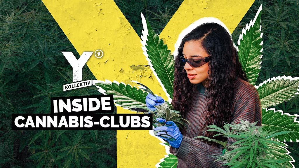 Selma Badawi ist Journalistin und spricht über die Cannabis Legalisierung Deutschland in ihrer Reportage