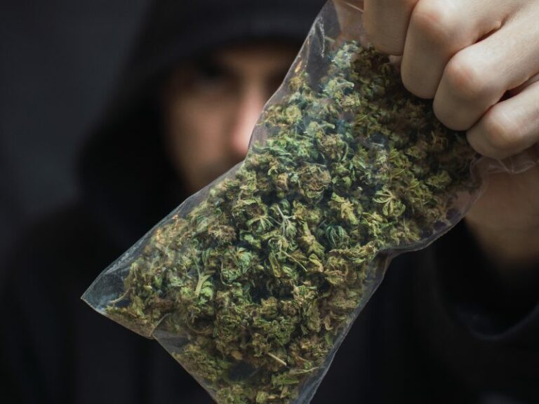 450 kg Cannabis: BGH dreht Freispruch zurück