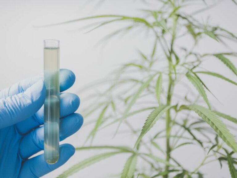 Cannabis Schnelltest: Neue Tests im Einsatz bei Polizeikontrollen