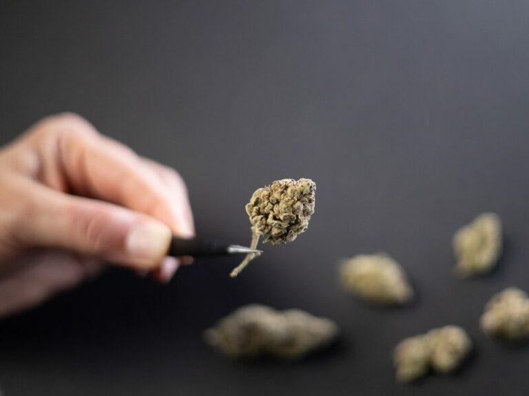 Studie in der Schweiz: Neue Erkenntnisse zur Cannabisregulierung