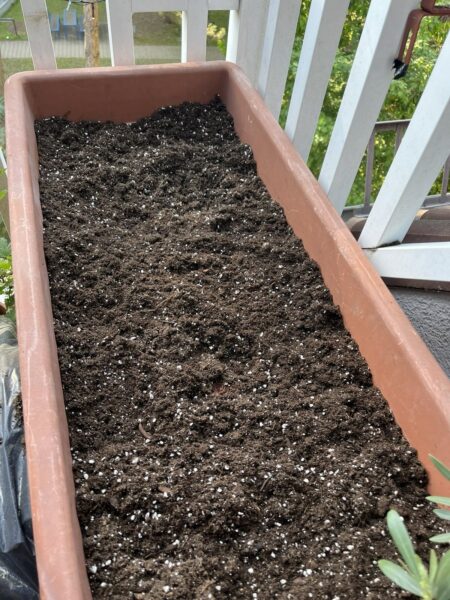 Ein Blumenkasten mit fertiger Cannabis Erde - in diese werden die Pflanzen nun gesetzt.