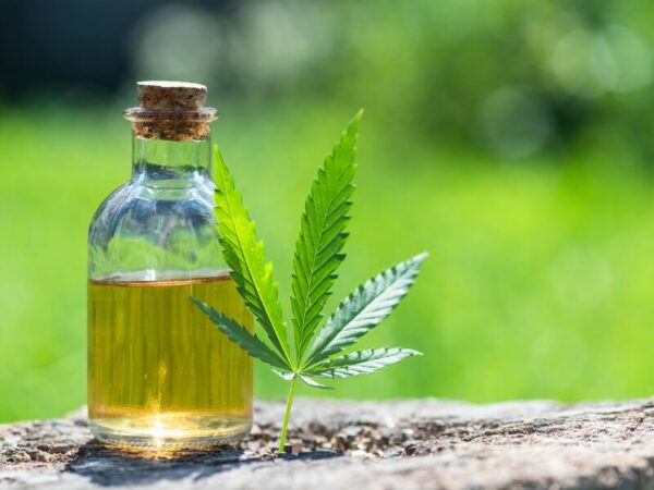 CBD Öl in einem Fläschchen mit einem Hanfblatt