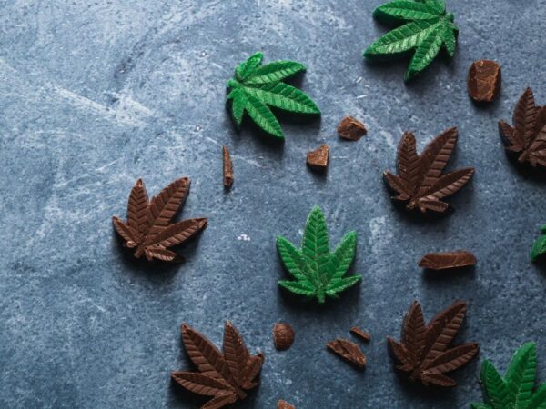 Edibles - hier sind kleine Hanfblatt Schokoladen zu sehen. 