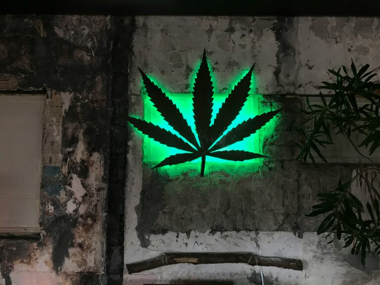 Änderung Cannabisgesetz: Drogenbeauftragter sieht Reformbedarf