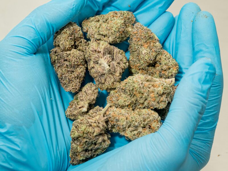 Medizinisches Cannabis. Die Cannabis Höchstmenge für den Import ist erreicht.