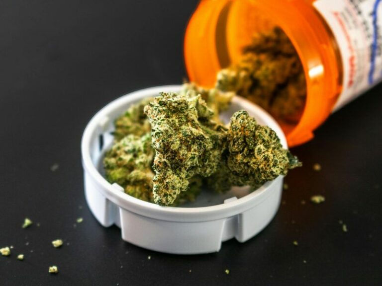 Einfuhrstopp von Cannabis: Deutschland erreicht die Höchstmenge für 2025