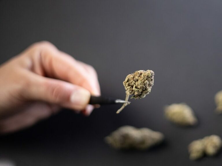 Verbot von Medizinischen Cannabisblüten: Fachverbände schlagen Alarm