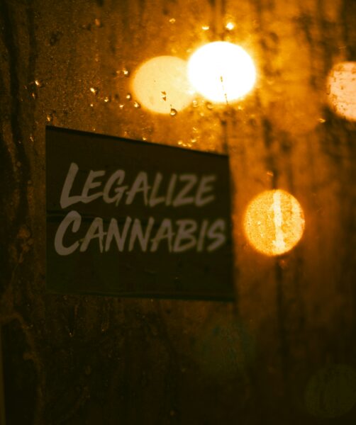 ein Bild mit einem Aufkleber: Legalize Cannabis - der Entwurf für das Cannabisgesetz in der Schweiz ist da. Ringo Hoffmann auf Unsplash.
